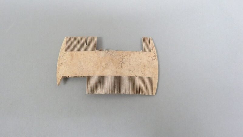 During an archaeological excavation near the site of the first house, a shovel accidentally hit this bone nit comb, broke off (fcd0dda4-7557-4324-a9c1-e4e36978c2b3)
