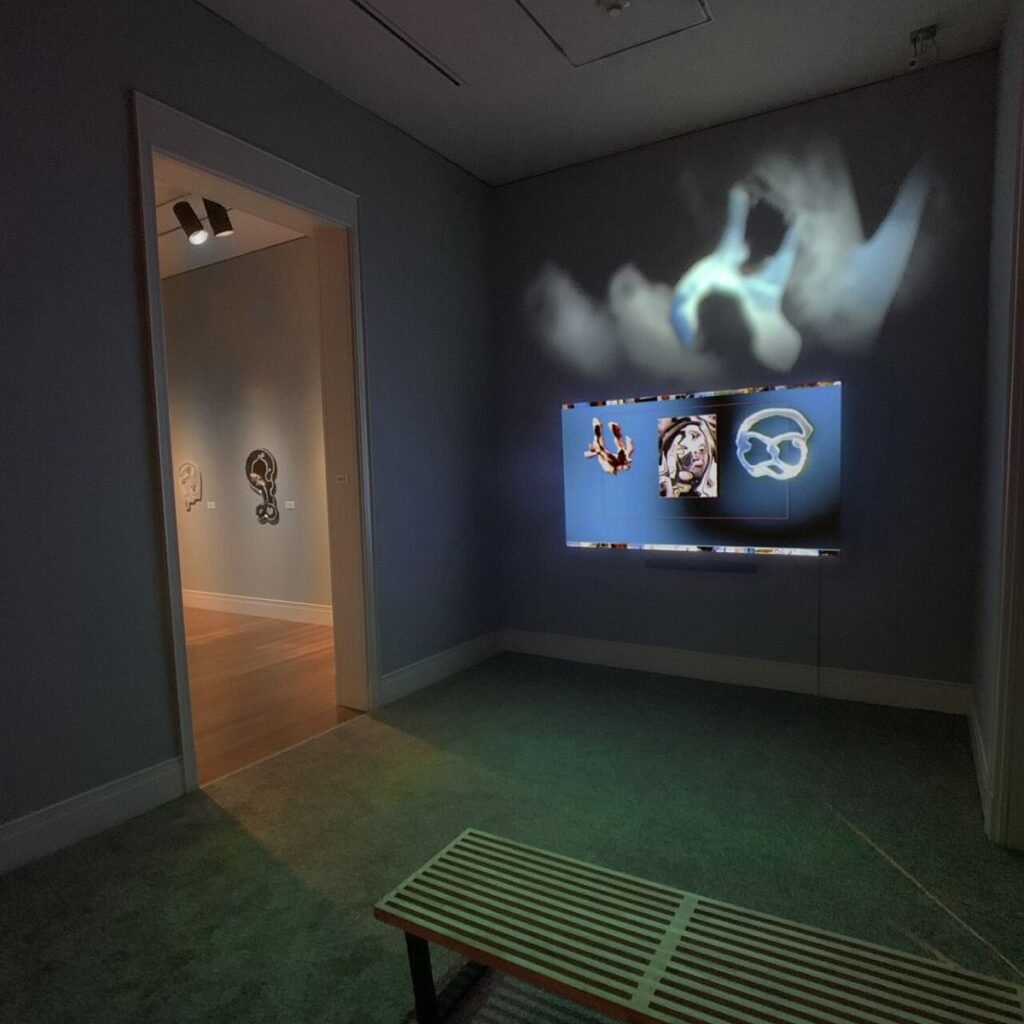 The Casebearer 2.0 video by Dave Greber installed at the Ogden Museum of Southern Art
