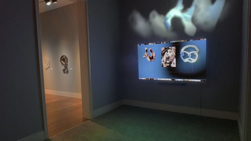 The Casebearer 2.0 video by Dave Greber installed at the Ogden Museum of Southern Art