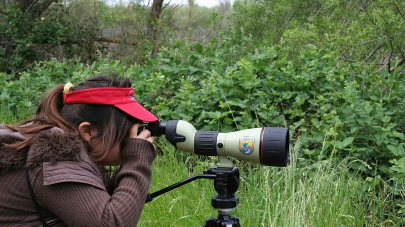 Woman photographer with a camera with a lens
