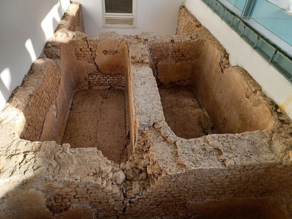 Garum, la salsa di pesce che i Romani mettevano ovunque: storia di un condimento «disgustoso» e amatissimo