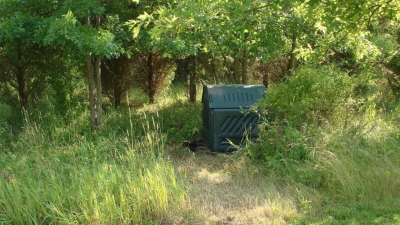 Green compost bin