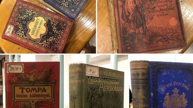 A collection of books with richly illustrated cover, Adligat2
