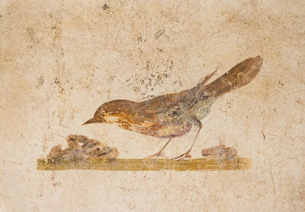 Bird ancient roman fresco Oplontis Italy