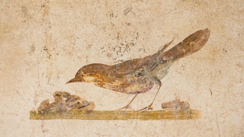 Bird ancient roman fresco Oplontis Italy