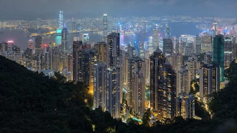 Panorama of Hong Kong Harbour from The Peak dllu
