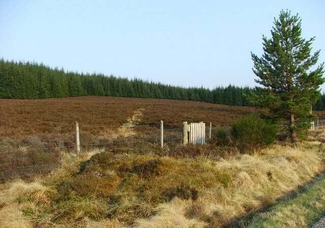 Caiplich Prehistoric Settlement - geograph.org.uk - 171756