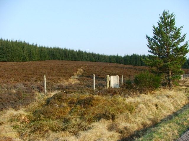 Caiplich Prehistoric Settlement - geograph.org.uk - 171756