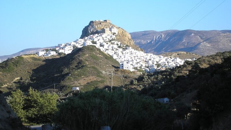 La sfida della sopravvivenza: il cavallo di Skyros tra gestione e natura selvaggia
