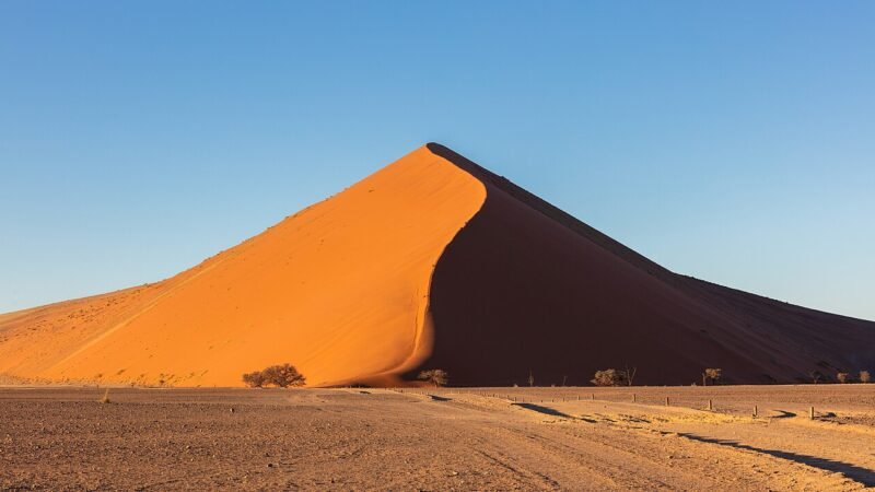 La Namibia costiera tra fauna selvaggia e trasformazioni ambientali