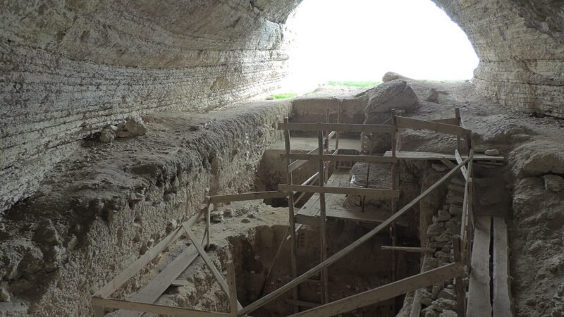 Quello che il naso neandertaliano rivela sull'evoluzione