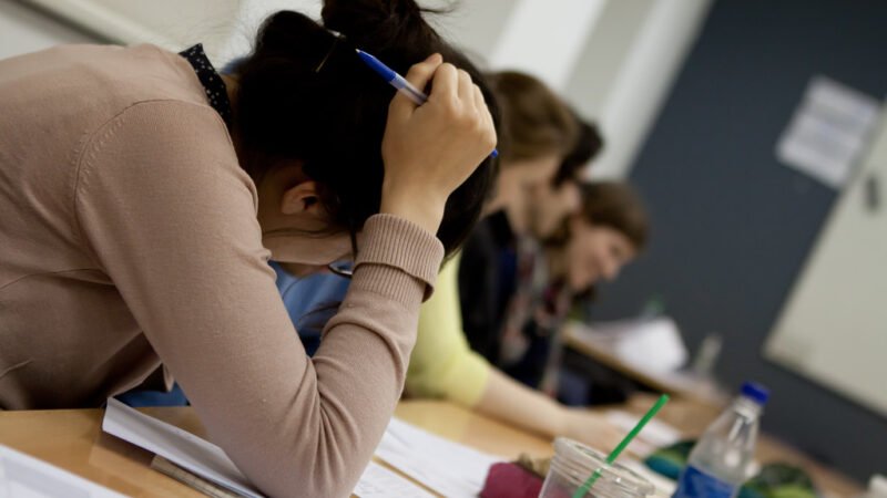 Lo sbaglio come mappa dell'apprendimento. Cosa insegna la linguistica ai docenti