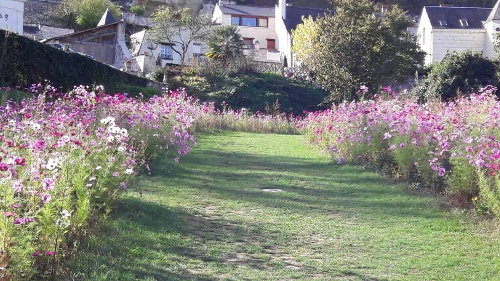 La Valle della Loira oltre i castelli: paesaggi, giardini e percorsi lenti