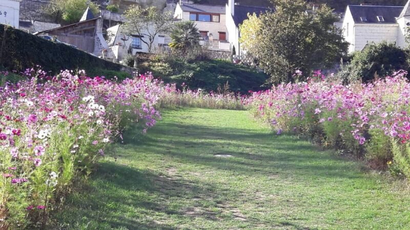 La Valle della Loira oltre i castelli: paesaggi, giardini e percorsi lenti