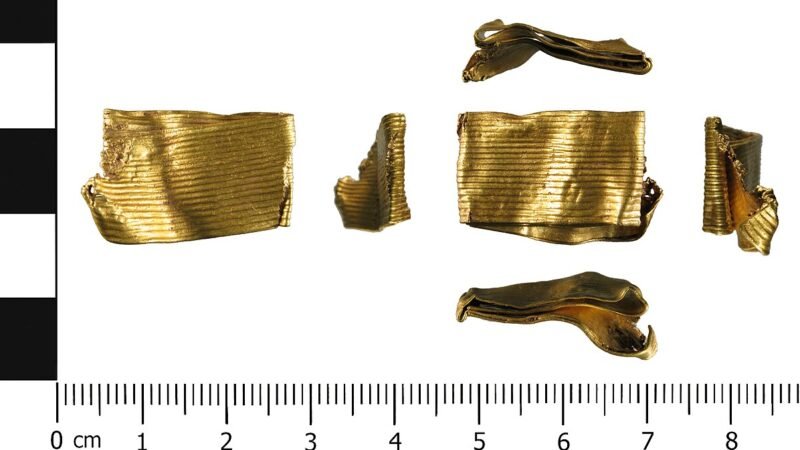 Una comunità di pastori dell'Età del Bronzo rivela i segreti del suo DNA sui monti calabresi