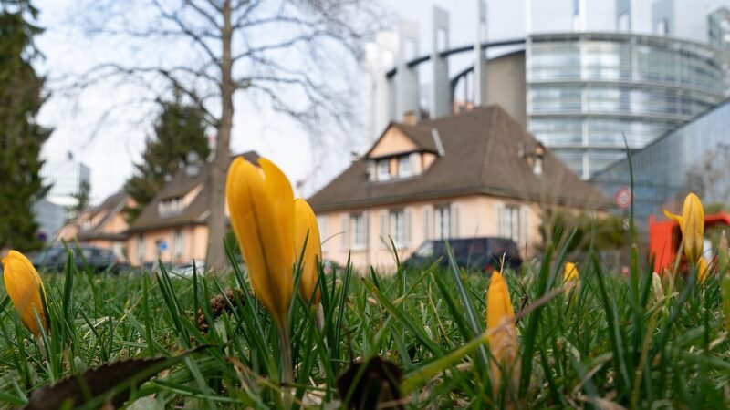 La strategia normativa dell'UE sul clima: quindici anni di progressiva integrazione