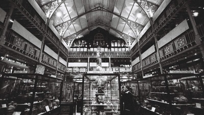 Quando il museo si interroga: il caso di Pitt Rivers e il sapere coloniale
