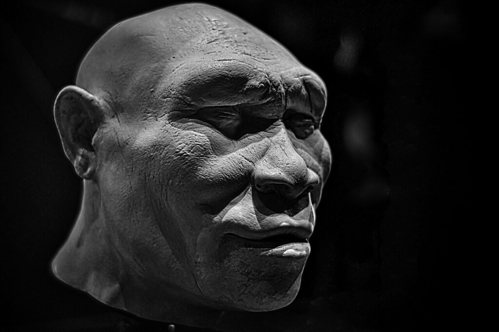 Quando la scienza rispecchia i pregiudizi: la storia distorta dei Neanderthal
