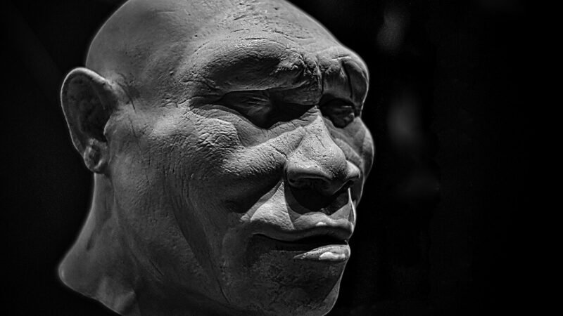Quando la scienza rispecchia i pregiudizi: la storia distorta dei Neanderthal