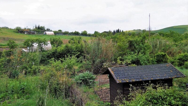 San Casciano dei Bagni, quando l'archeologia incontra il vino toscano