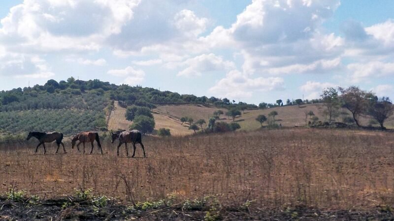Nel cuore della Tuscia: stratificazioni di fede, archeologia e paesaggio vulcanico