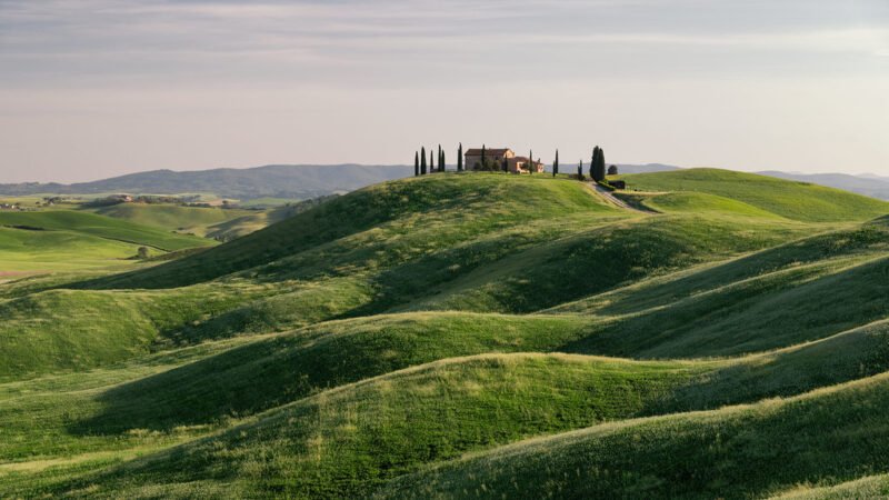 Quando l'errore genera eccellenza: il paradosso del formaggio toscano nato per caso