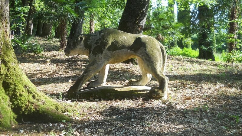 Quando uno spazio insegna senza spiegare. Il Giardino di Pojega tra progettazione e esperienza