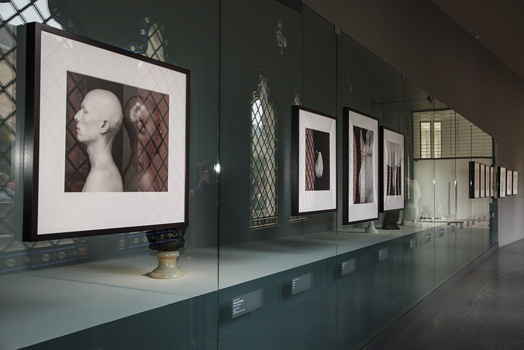 La rivoluzione estetica di Mapplethorpe: quando il corpo diventa architettura