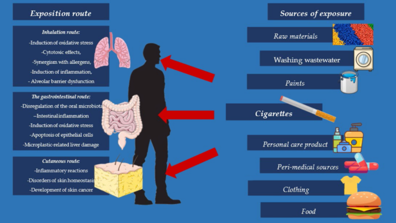Mappare la plastica nel corpo umano: la rivoluzione diagnostica che cambia il nostro sguardo sulla salute