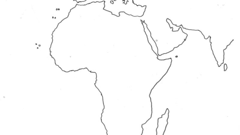 Due specie di ominidi nella stessa Africa ancestrale: come convivevano senza competere
