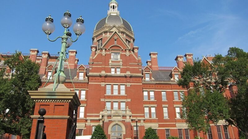 Uno studio della Johns Hopkins dimostra che i primati sanno distinguere realtà e finzione, ridisegnando i confini dell'i