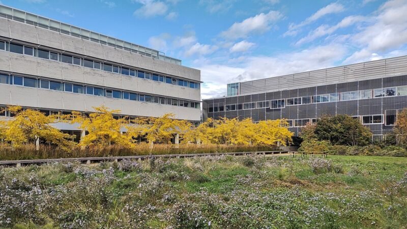Come le parole dei genitori modellano la relazione dei figli con se stessi
