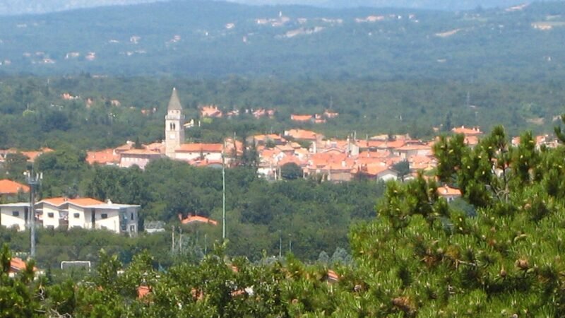 Sulle tracce del Prosecco: quando la passeggiata diventa scoperta storica