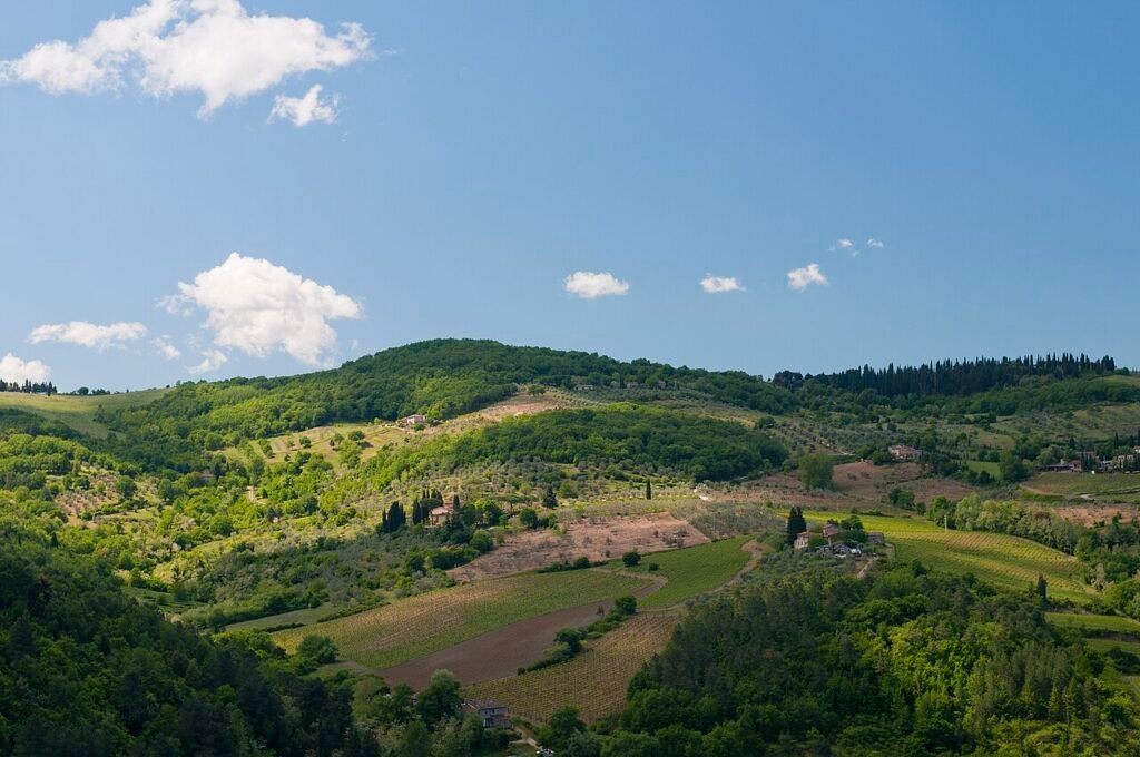 Il pane senza sale della Toscana: dal conflitto medievale alla tavola contemporanea