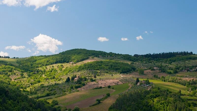 Il pane senza sale della Toscana: dal conflitto medievale alla tavola contemporanea