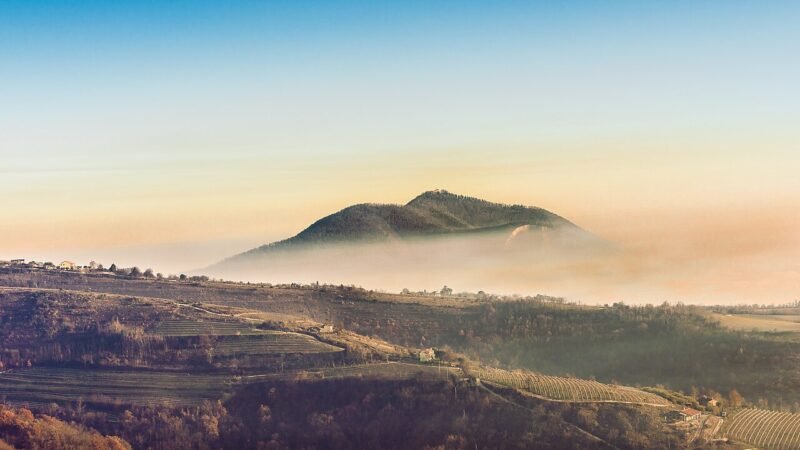 Nel cuore dei Colli Euganei, un modello agricolo fondato sulla pazienza