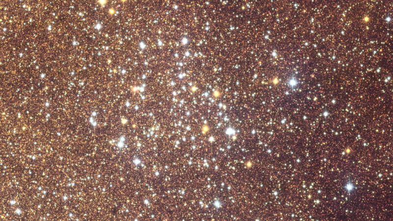 Euclid e il cuore della galassia: la ricerca di mondi lontani attraverso la lente dello spazio